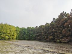 -上海海湾国家森林公园