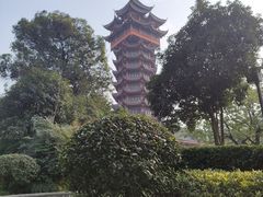 -塔子山公园