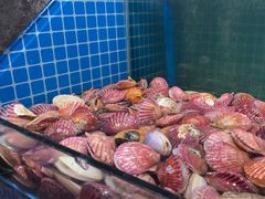 -曼格活海鲜·牛排自助(光明蓝鲸店)