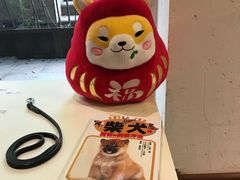 -柴务处·柴犬主题狗咖