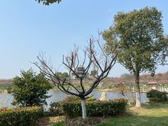 -上海海湾国家森林公园