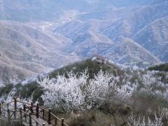 -大岭沟猕猴桃谷风景区