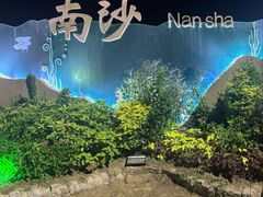 -朱家尖南沙景点