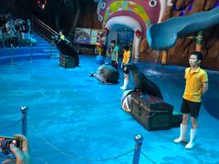 -烟台海昌鲸鲨海洋公园