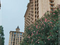 -上海浦东星河湾酒店