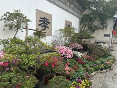 -惠山古镇·寄畅园