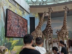 -陕西自然博物馆