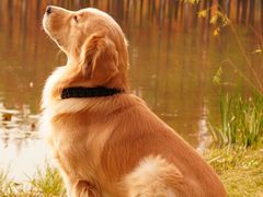 -白鹭湾湿地公园