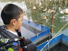 -白塘生态植物园