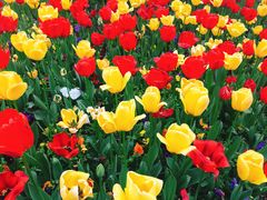 -无锡市市民中心