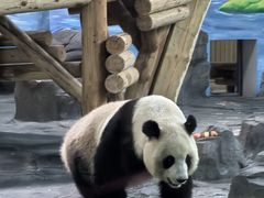-秦皇岛野生动物园