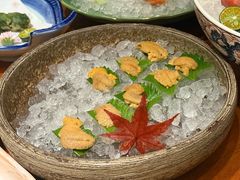 -月龍吟(朝龙汇店)