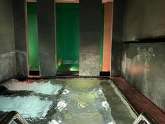 -丽思卡尔顿酒店泳池(金融街店)