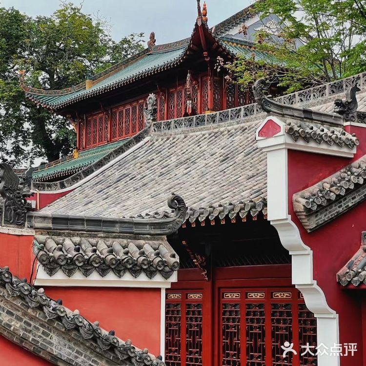 📷武汉摄影｜长春观