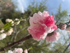 -陕西省西安植物园