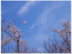 -浙江越秀外国语学院