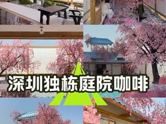 -Blue Concept Cafe&Farm·關於藍