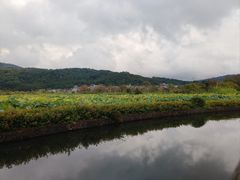 -和顺古镇