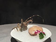 -左庭右院鲜牛肉火锅黑金店(陆家嘴中心店)