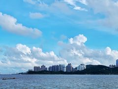 -野狸岛