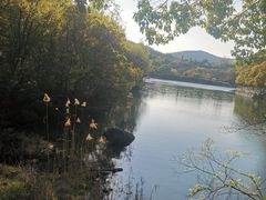 -白马涧龙池景区