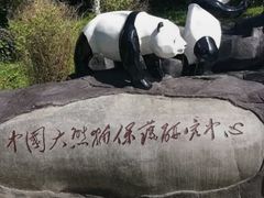 -都江堰中华大熊猫苑