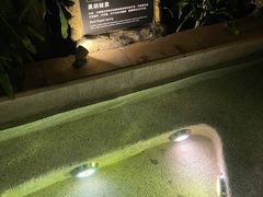 -海口观澜湖火山温泉谷