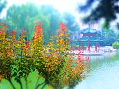 -钓鱼台国宾馆