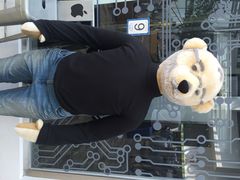 泰迪熊博物馆-济州岛泰迪熊博物馆