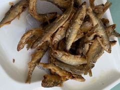 -白渔泡湿地公园