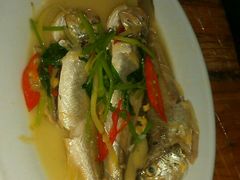 野生小黄鱼-老三鱼仔店