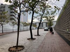 -九龙公园