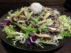 -春草居酒屋·晴子の店
