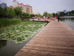 -雁滩公园
