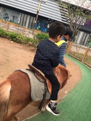 -萌宠亲子动物乐园(槐房万达店)