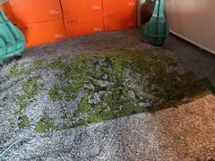 -映像威海·威海宴(威高广场店)