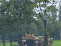 -秦皇岛野生动物园