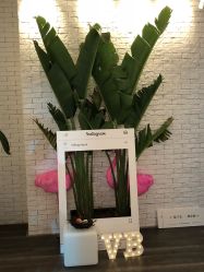 -V Beautique妆颜美学体验馆