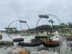 -荷兰花海