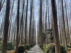 -上海怡沁园度假酒店