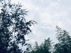 -炉鱼(爱琴海购物公园店)