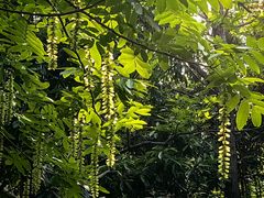 -上海吴淞炮台湾国家湿地公园