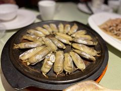 铁板蛏子-高佳庄·海鲜酒楼(东港店)