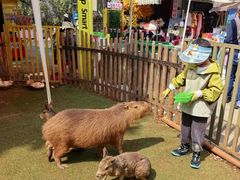 -昆明动物园