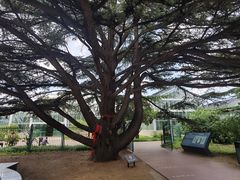 -国家植物园南园