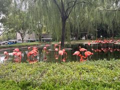 -石家庄市动物园