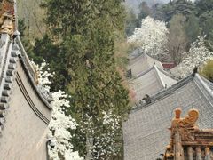 -潭柘寺景区
