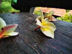 -槟城宝盛园民宿