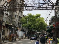 -溪岸路花鸟市场