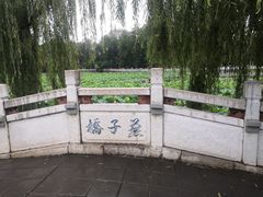 -翠湖公园